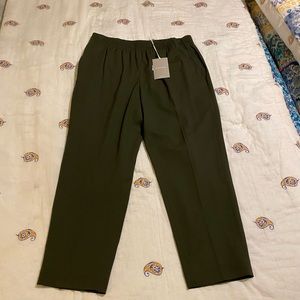 Everlane Dark Green The Italian GoWeave Easy Pant New with Tags Size 14